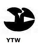 PLANT GLAZING CLAYTONRITE RUBBER BLACK 1/4 X 1/4 **  FREE FILLER*****